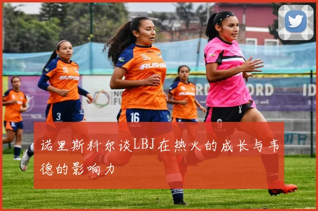 诺里斯科尔谈LBJ在热火的成长与韦德的影响力