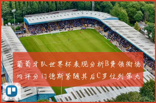 葡萄牙队世界杯表现分析B费领衔场均评分门德斯紧随其后C罗位列第九