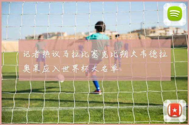记者热议马拉比塞克比朔夫韦德拉奥果应入世界杯大名单